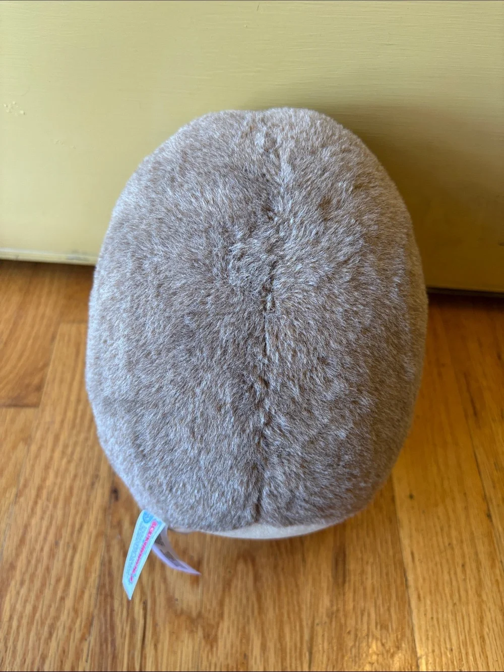 Squishmallows Beige, Gray & Pink Starry-Eyed Hedgehog Plush
